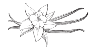 c67580c1 c8f1 4f2c 9268 e8dd389a7380 min removebg preview